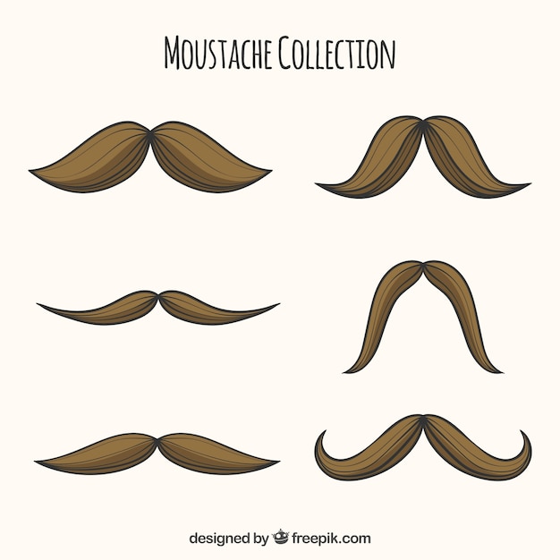 Set de bigotes dibujados a mano 