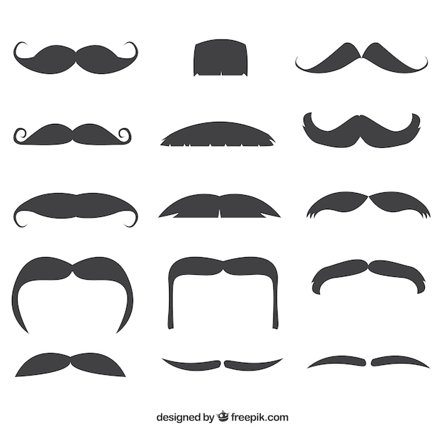 Set de bigotes con diferentes estilos 