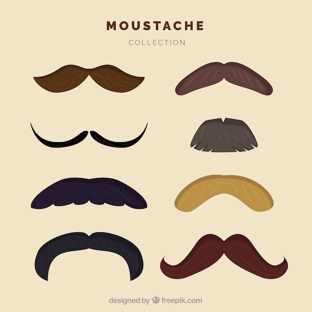 Set de bigotes con estilo