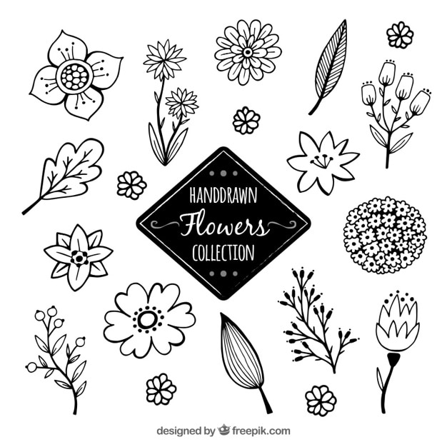 Vector gratuito set de bocetos de flores