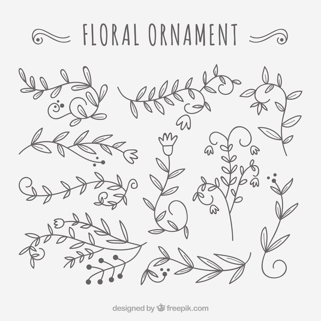 Set de bocetos de ornamentos florales vintage 