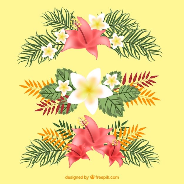 Vector gratuito set de bonita decoración floral