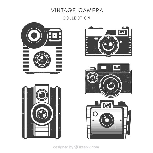 Set de bonitas cámaras vintage
