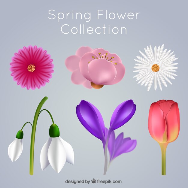 Set de bonitas flores en estilo realista 