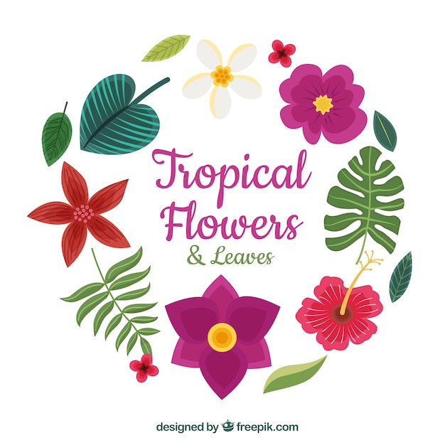 Vector gratuito set de bonitas flores tropicales