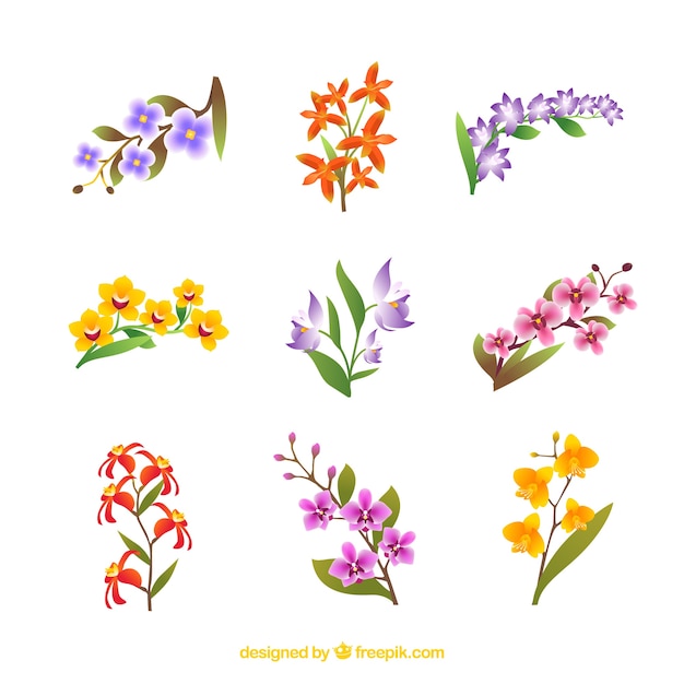 Vector gratuito set de bonitas flores tropicales