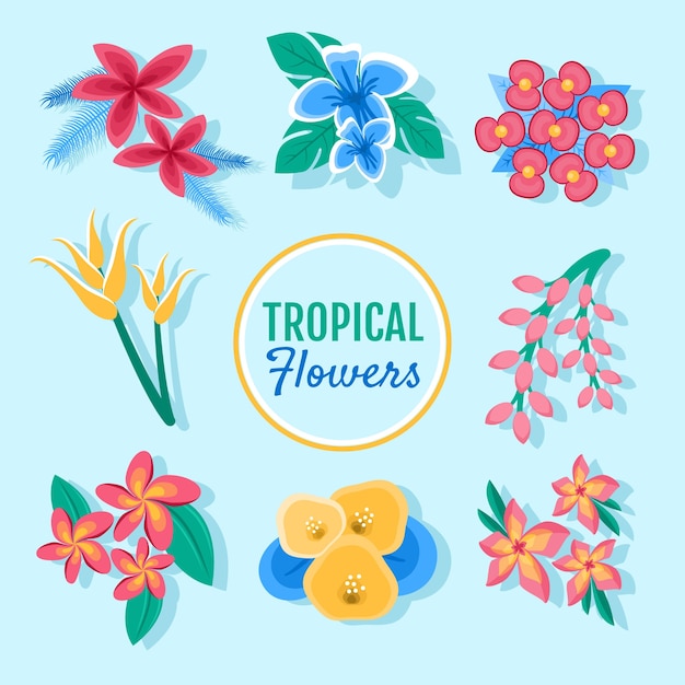 Vector gratuito set de bonitas flores tropicales