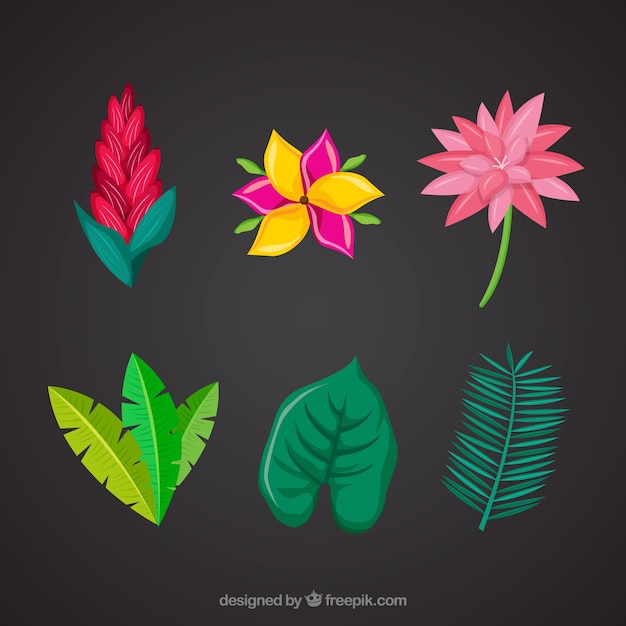 Vector gratuito set de bonitas flores tropicales