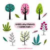 Vector gratuito set de bonitas plantas y árboles en estilo vintage