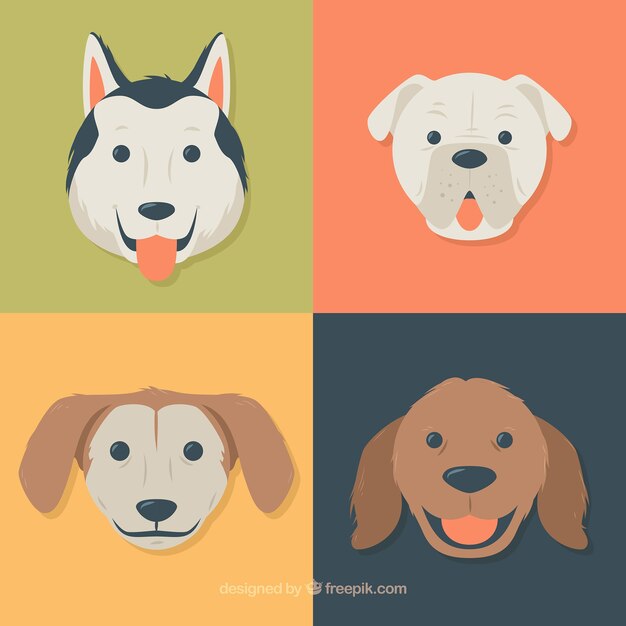 Set bonito de perros planos