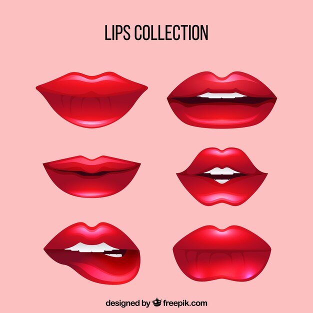 Set de bonitos labios 