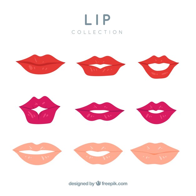 Set de bonitos labios 