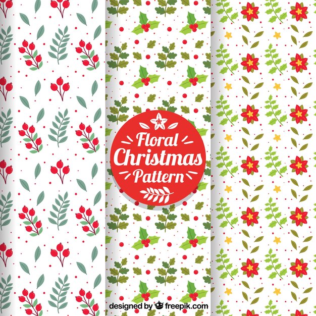 Set de bonitos patrones de navidad florales 