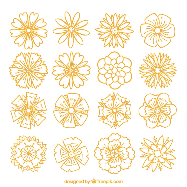 Vector gratuito set de bosquejos de flores