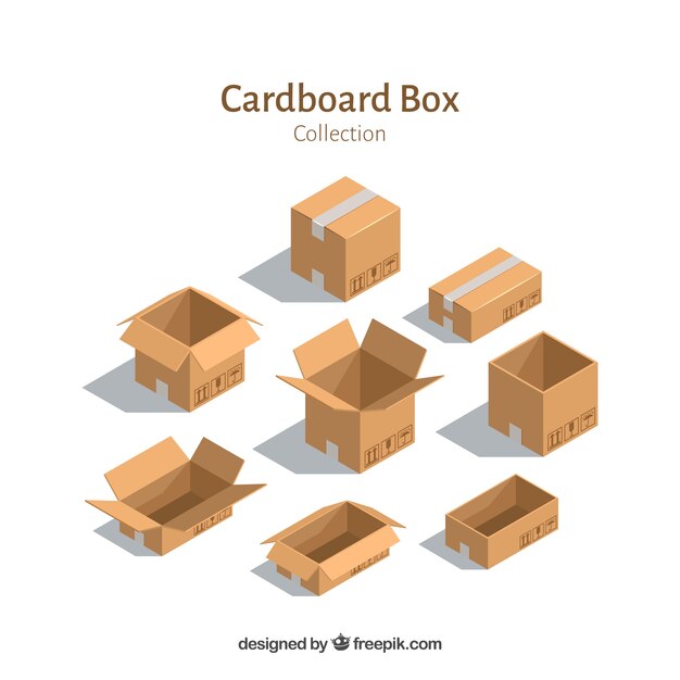 Set de cajas de cartón para envío