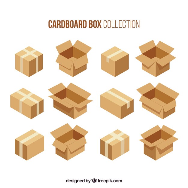 Set de cajas de cartón para envío