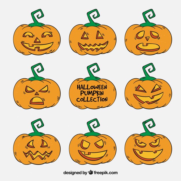 Set de calabazas dibujadas a mano 