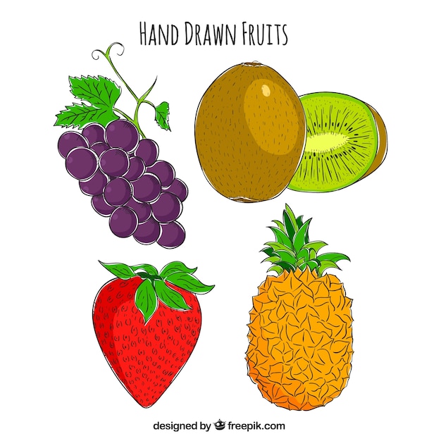 Vector gratuito set de cuatro frutas deliciosas dibujadas a mano