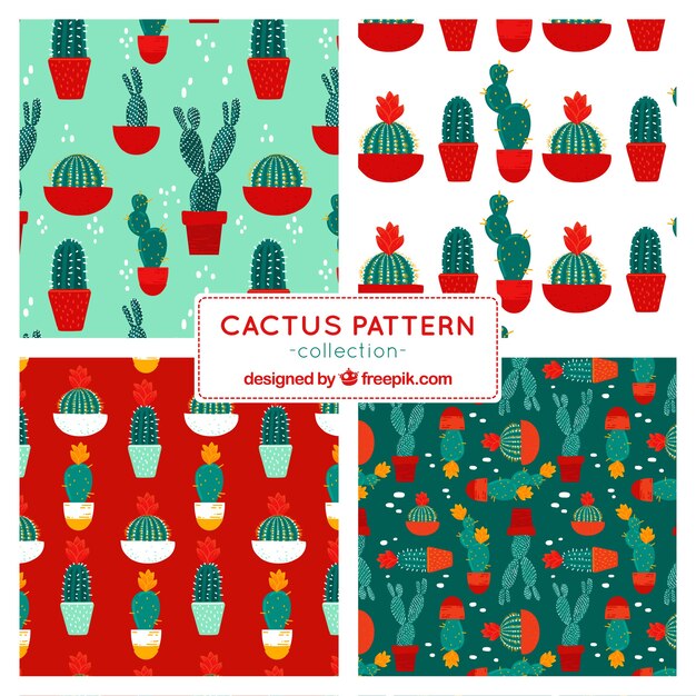 Set de cuatro patrones de cactus 