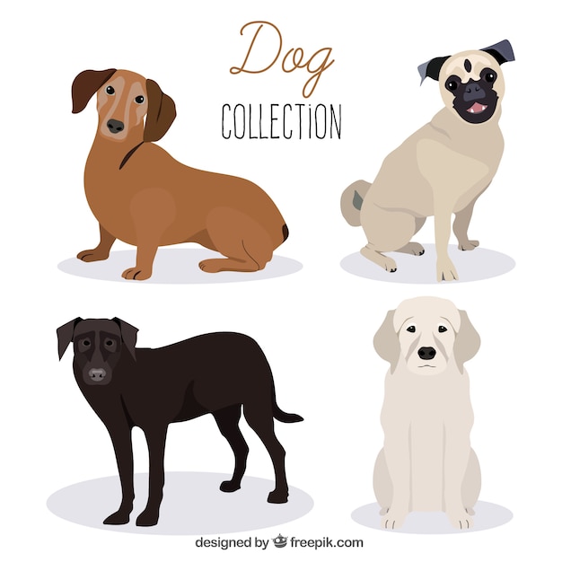 Vector gratuito set de cuatro perros de perfil