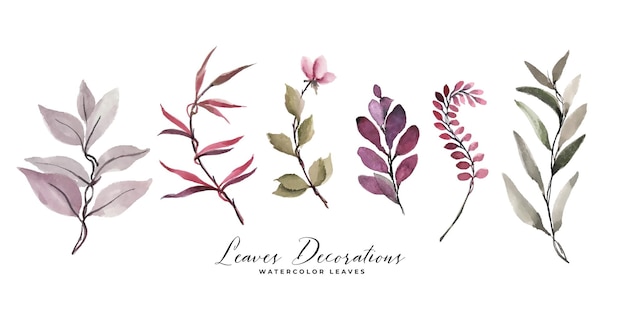 Set de decoración de hojas y flores de acuarela