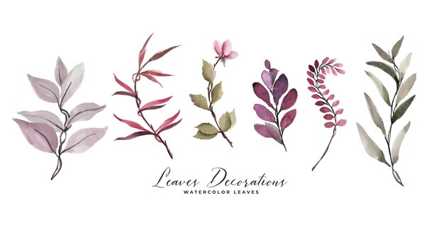 Set de decoración de hojas y flores de acuarela
