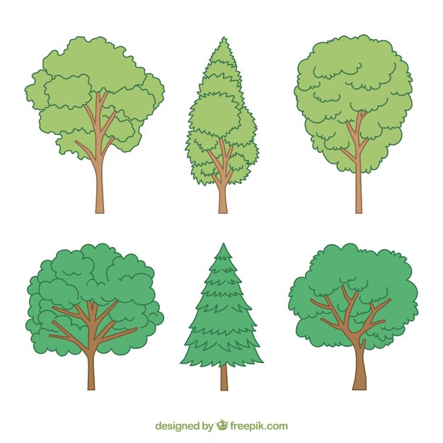 Set de diferentes árboles dibujados a mano 