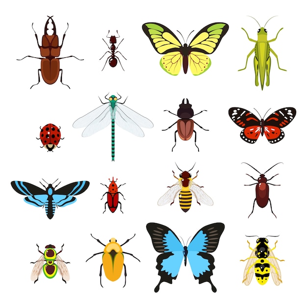 Vector gratuito set de diferentes insectos