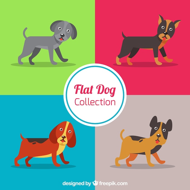 Vector gratuito set de diferentes razas de perro en diseño plano