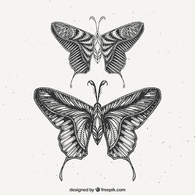 Vector gratuito set de dos mariposas dibujadas a mano