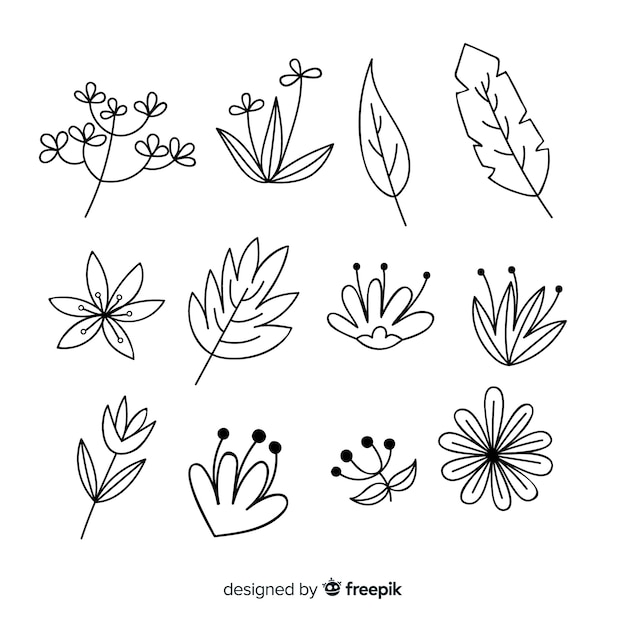 Vector gratuito set elementos decoración floral sin color dibujada a mano