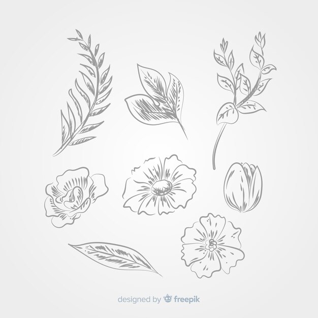 Set elementos de decoración floral sin color