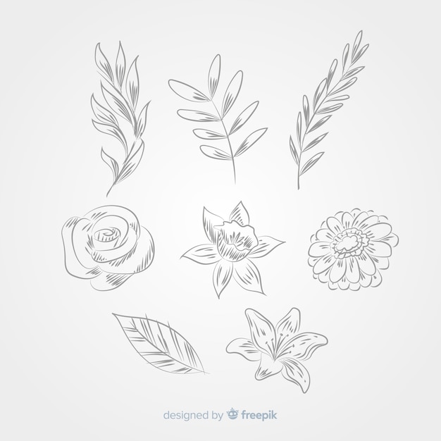 Set elementos de decoración floral sin color