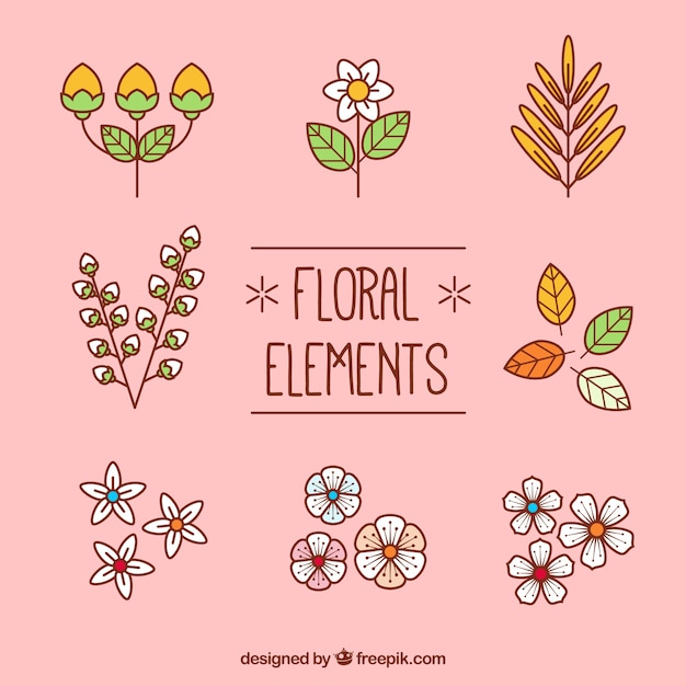 Vector gratuito set de elementos decorativos florales