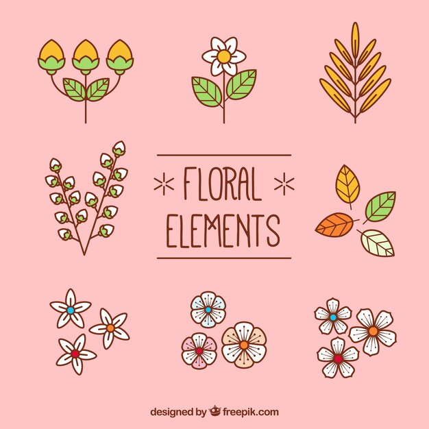 Set de elementos decorativos florales 