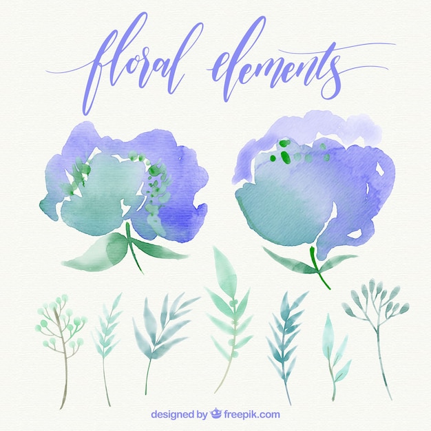 Vector gratuito set de elementos florales de acuarela