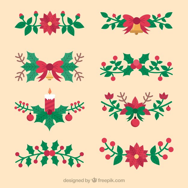 Set de elementos florales de navidad decorativos