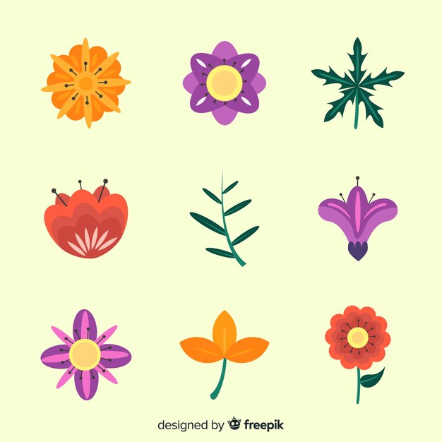 Set de elementos florales