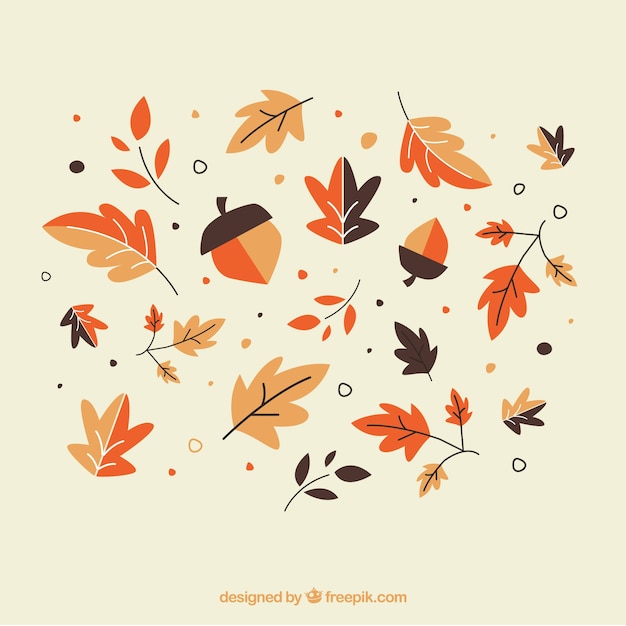 Set de elementos naturales en estilo minimalista