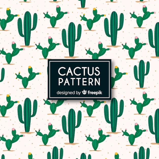 Set de estampados de cactus