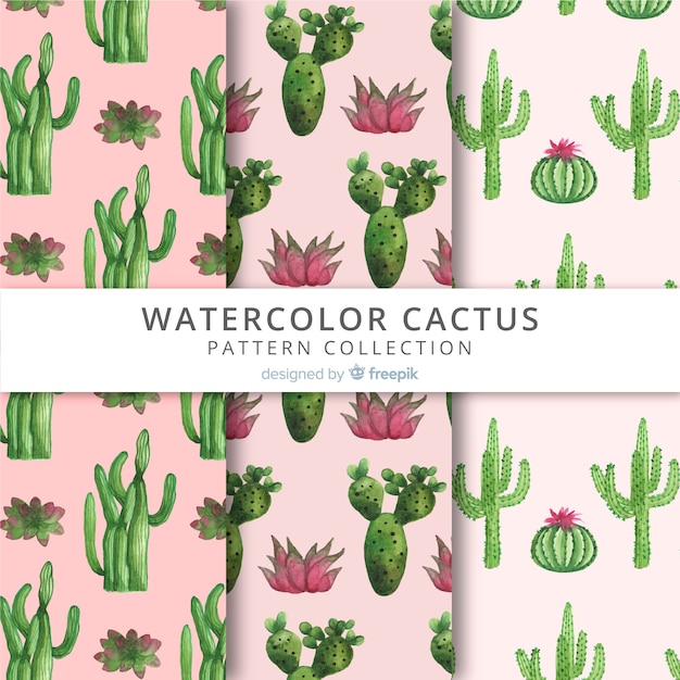 Set de estampados de cactus