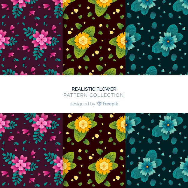 Vector gratuito set de estampados florales