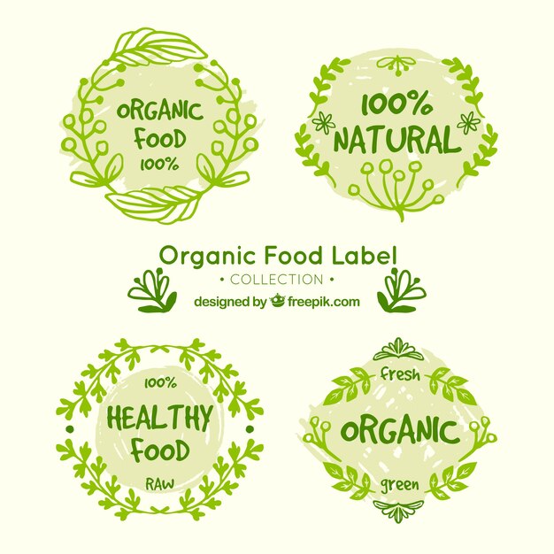 Set de etiquetas de comida orgánica verdes dibujadas a mano
