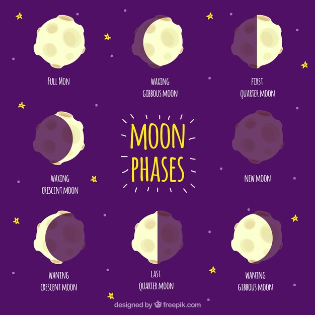 Set de fases de la luna 