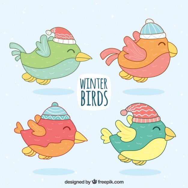 Set de felices pájaros con gorro dibujados a mano 