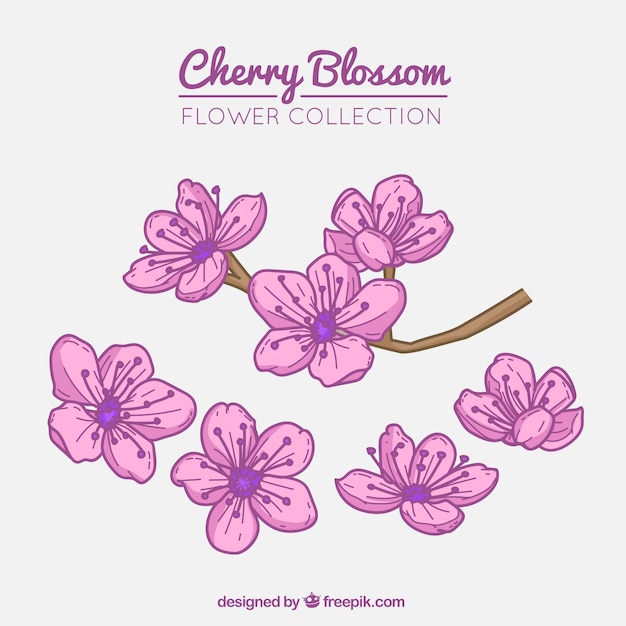 Vector gratuito set floral de flores del cerezo con diferentes diseños