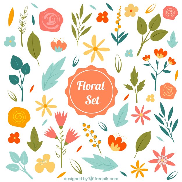 Set floral de flores dibujadas a mano