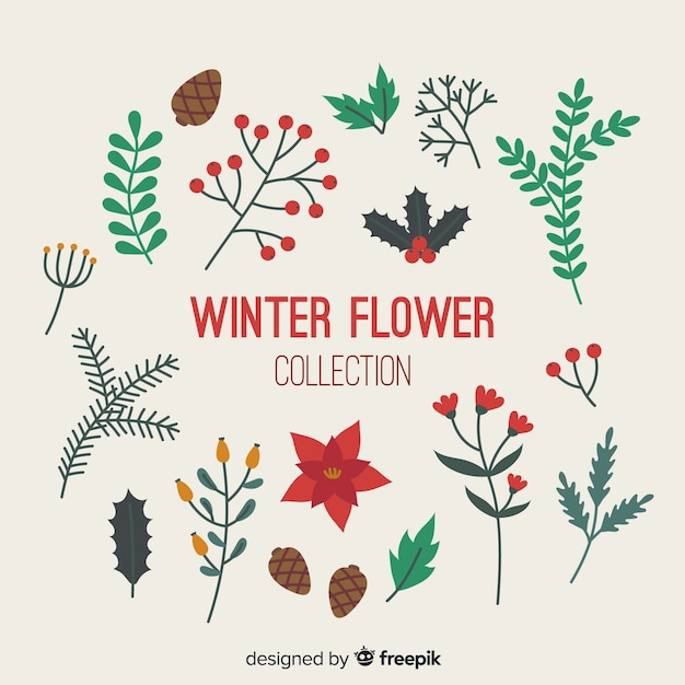 Set floral de invierno