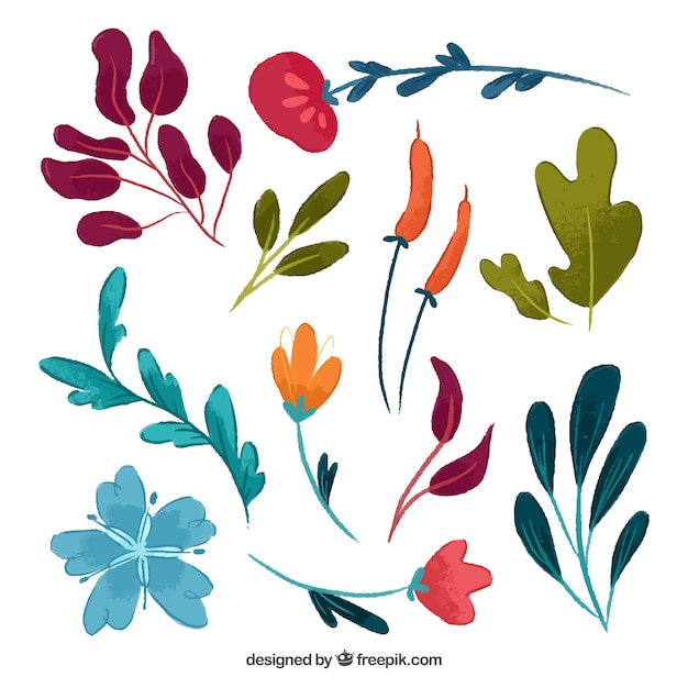 Vector gratuito set de flores de acuarela dibujadas a mano