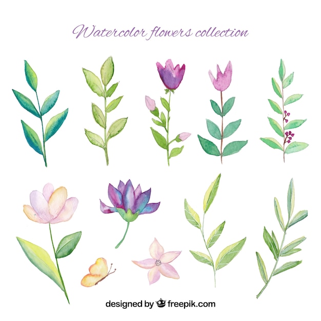 Vector gratuito set de flores de acuarela